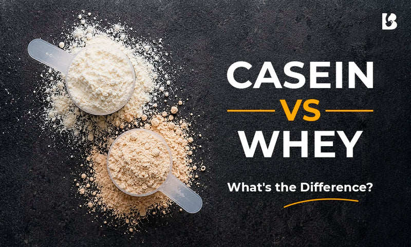 featured image of the blog casein vs whey 