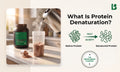 What Is Protein Denaturation? Meaning, Causes, Examples & Effects
