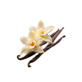 Vanilla